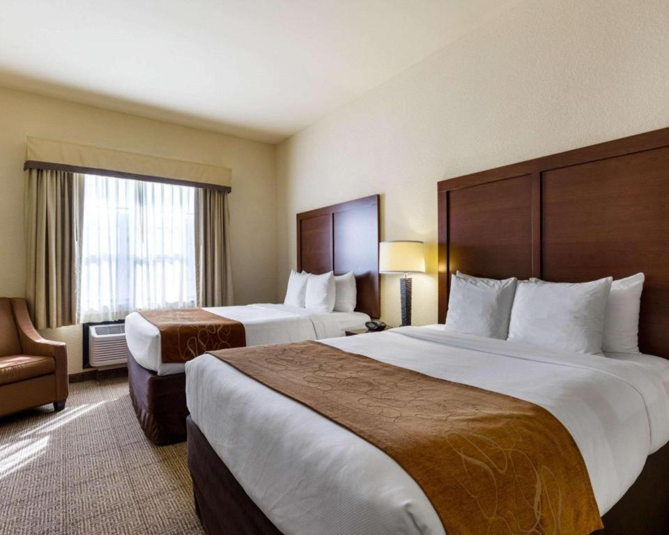 Comfort Suites Near Nasa - Clear Lake Уебстър Екстериор снимка