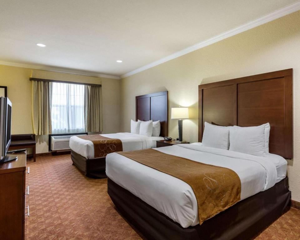 Comfort Suites Near Nasa - Clear Lake Уебстър Екстериор снимка