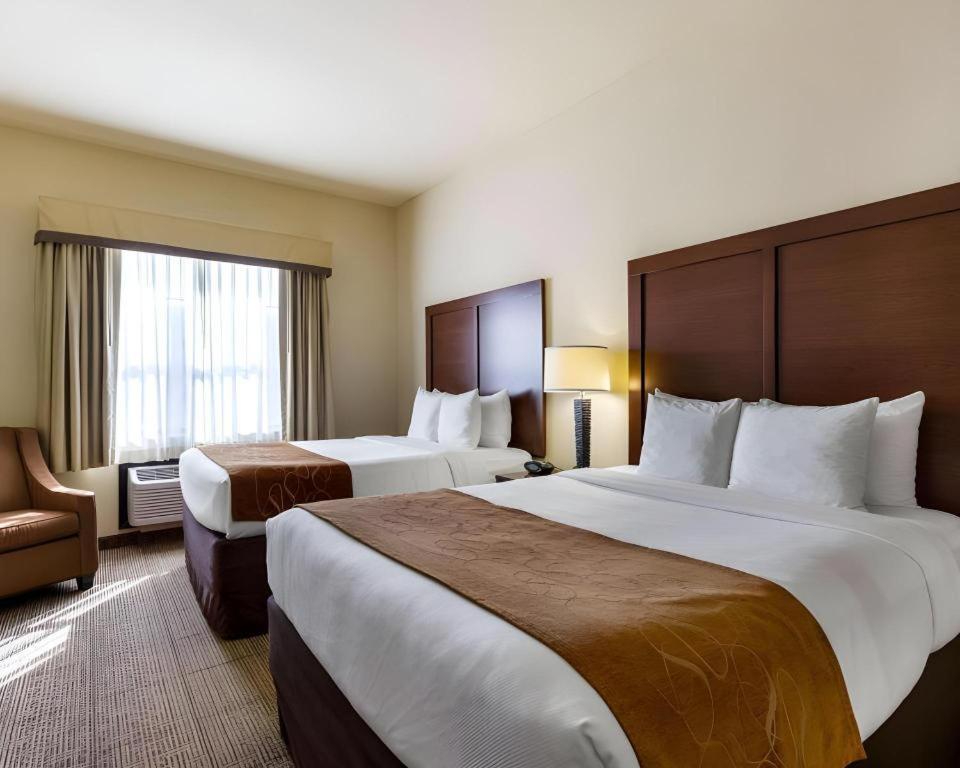 Comfort Suites Near Nasa - Clear Lake Уебстър Екстериор снимка