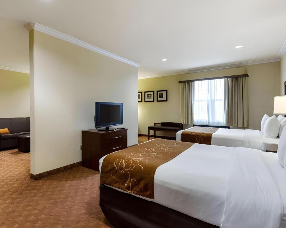 Comfort Suites Near Nasa - Clear Lake Уебстър Екстериор снимка