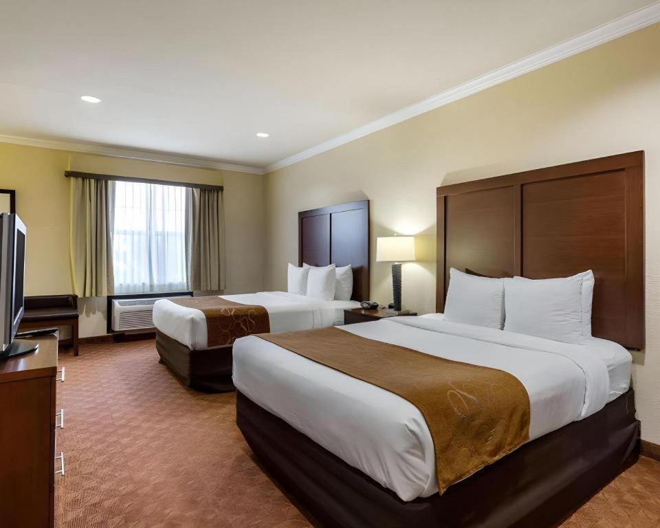 Comfort Suites Near Nasa - Clear Lake Уебстър Екстериор снимка