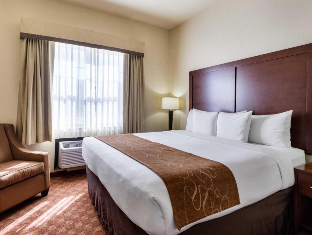 Comfort Suites Near Nasa - Clear Lake Уебстър Екстериор снимка
