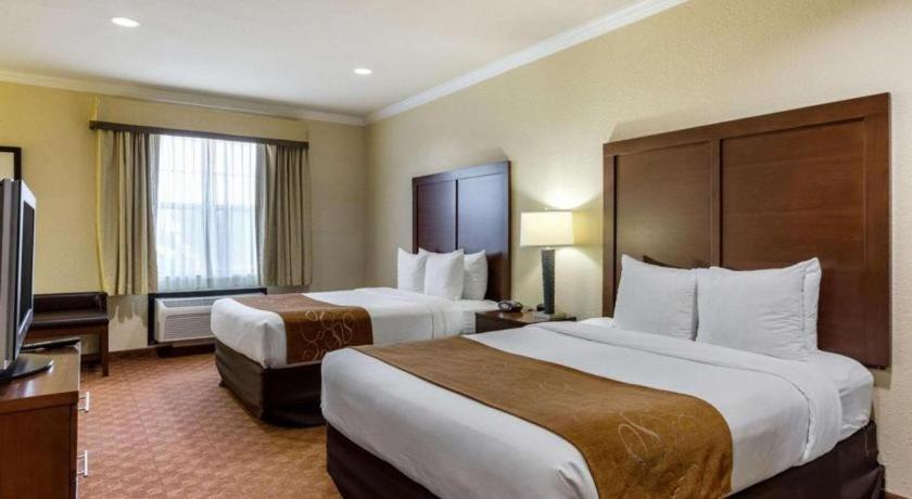 Comfort Suites Near Nasa - Clear Lake Уебстър Екстериор снимка