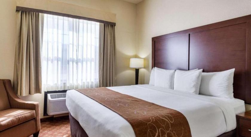 Comfort Suites Near Nasa - Clear Lake Уебстър Екстериор снимка