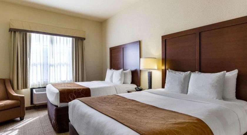 Comfort Suites Near Nasa - Clear Lake Уебстър Екстериор снимка